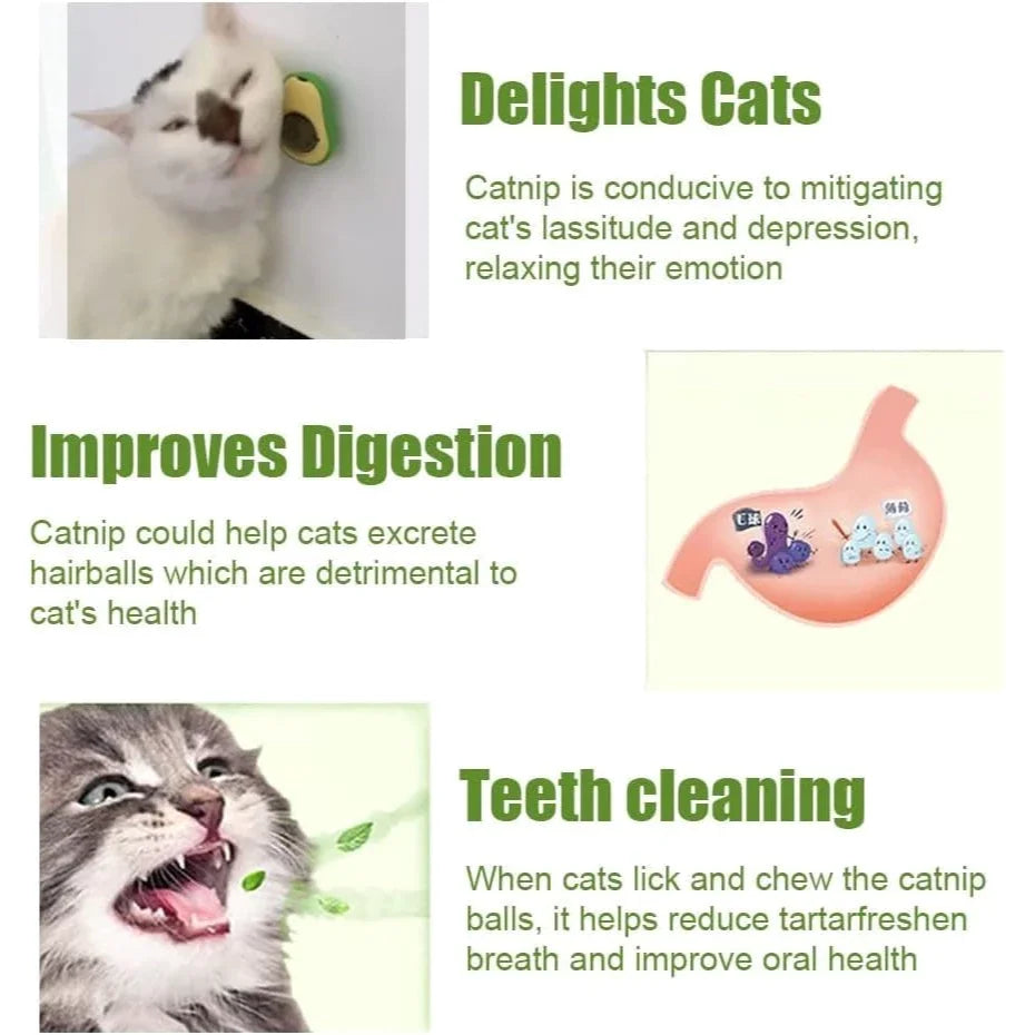 Natural Cat Herb Lick Ball Lick Tent Cleaning Snack Avacado Toy For Cats With Catnip